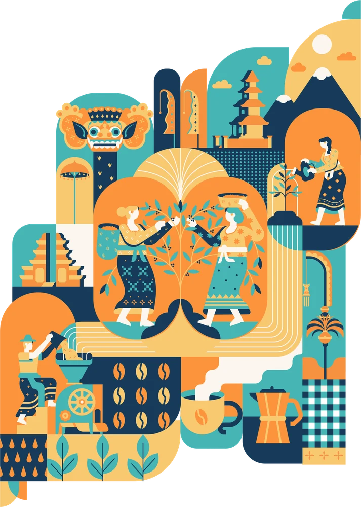 Bali Beans coffee journey illustration