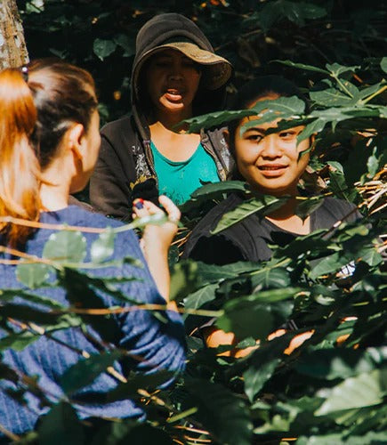 Bali Beans – Foodiesfeed Magazine